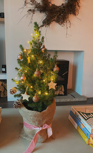 DIY Mini Christmas Tree