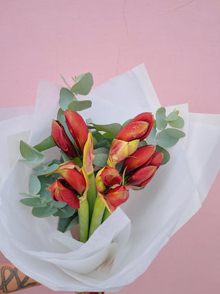 Amarylis + Eucalyptus Bouquet