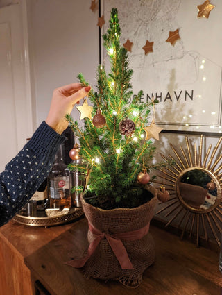 DIY Mini Christmas Tree