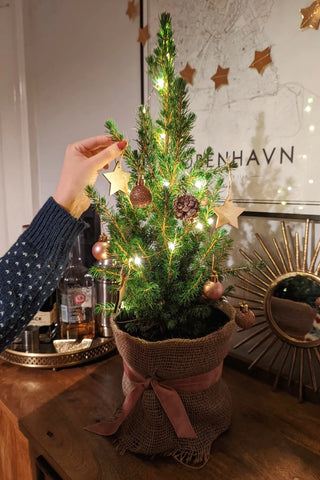 DIY Mini Christmas Tree