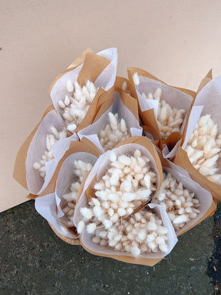 White Bunny Tails