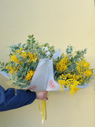 Mimosa Bunch U.K.