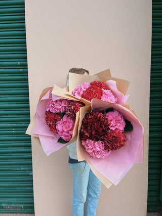 Pink + Red Hydrangea Bunch U.K.