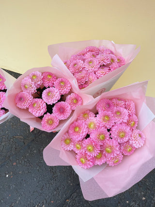 Pink Dahlia Bunch