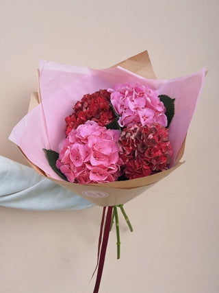 Pink + Red Hydrangea Bunch U.K.