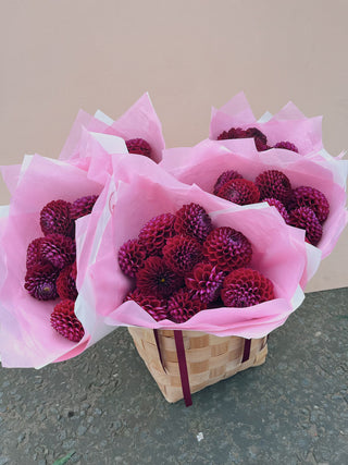 Burgundy Dahlia Bunch U.K.