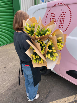 Lemon Tulip Bunch
