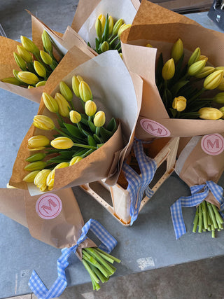 Lemon Tulip Bunch