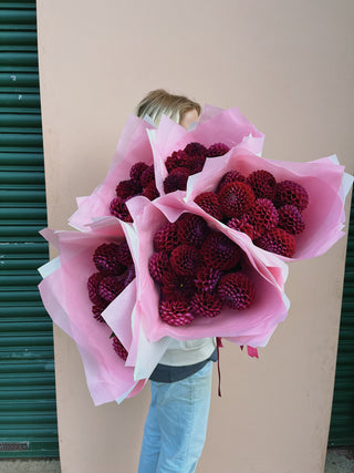 Burgundy Dahlia Bunch U.K.