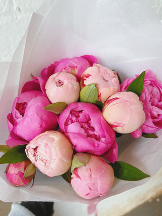 Pink and Hot Pink Peony Bunch U.K.