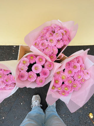 Pink Dahlia Bunch U.K.