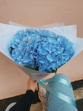 Blue Hydrangea Bunch