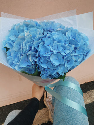 Blue Hydrangea Bunch