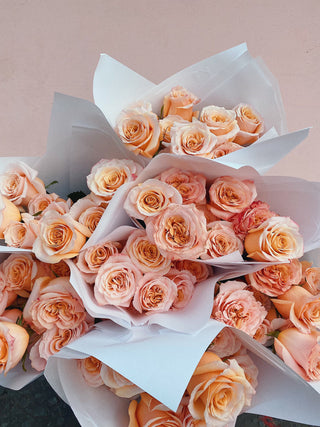 Peach Shimmer Roses U.K.