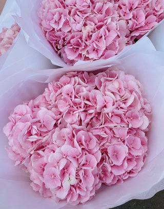 Pink Hydrangea Bouquet
