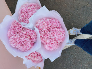 Pink Hydrangea Bunch U.K.