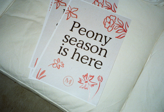 Coral Peony and Peach Rose Bunch U.K.