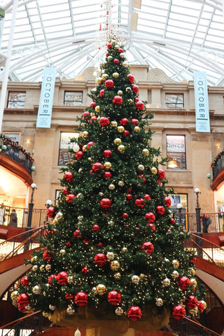 Christmas Wreath Workshop at The Delphine G1 3JN (Tuesday 8th December)